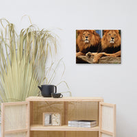 Two Lion Canvas