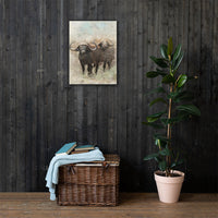 African Buffalo Canvas