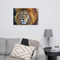 Lion Canvas