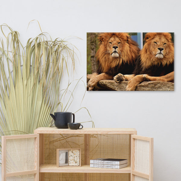 Two Lion Canvas