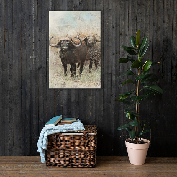 African Buffalo Canvas