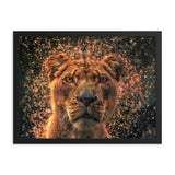 Lioness Framed