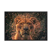 Lioness Framed