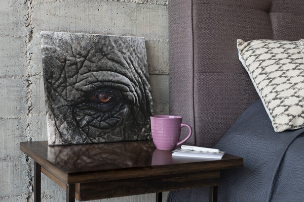 Close-Up Elephant Canvas