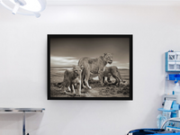 Lion Family Framed